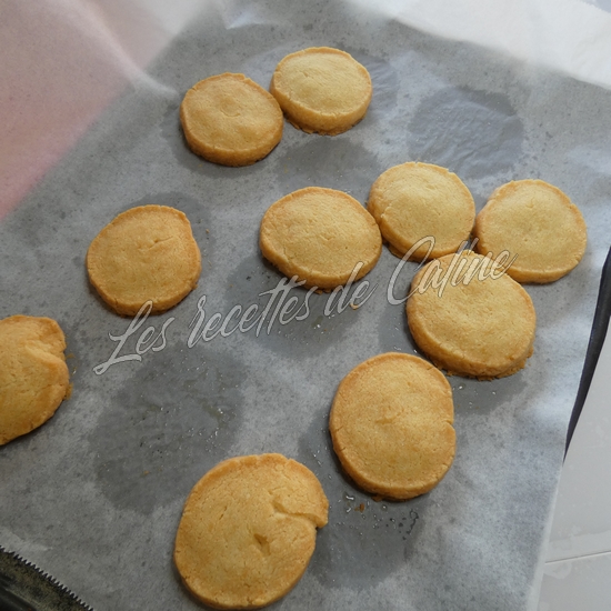 Palets breton à la rillettes de crabe19