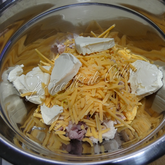 Wrap au poulet et frit à l'air fryer05