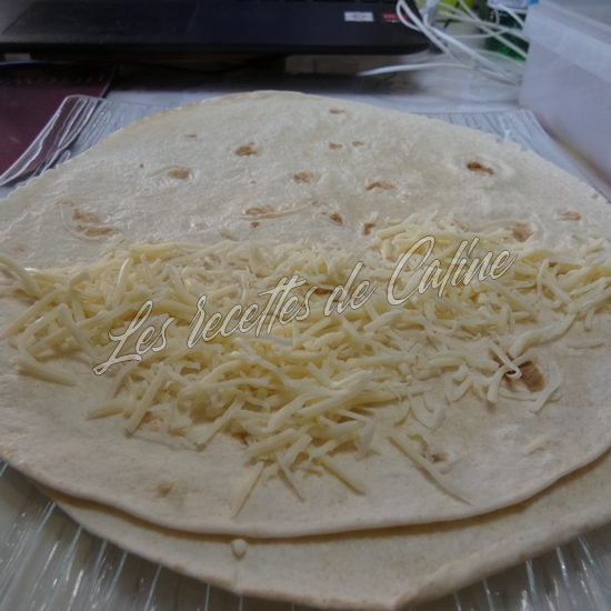 Tortillas gratinées au boeuf12