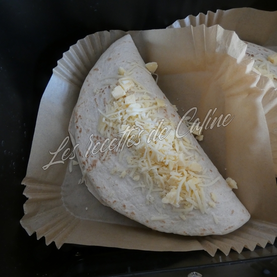 Tortillas gratinées au boeuf17