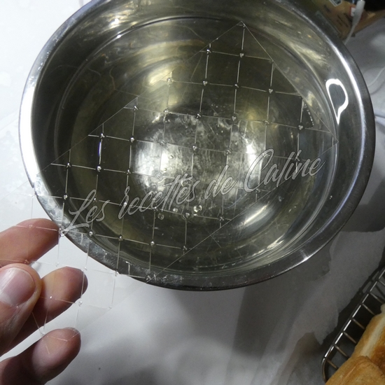 Bavarois de petits pois aux crevettes08