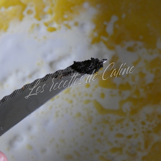 Crevettes à la vanille05