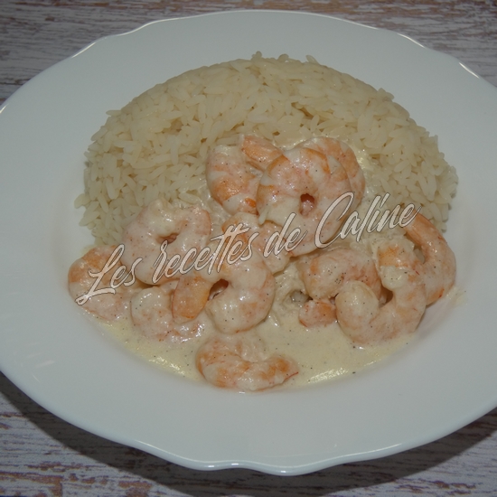Crevettes à la vanille09