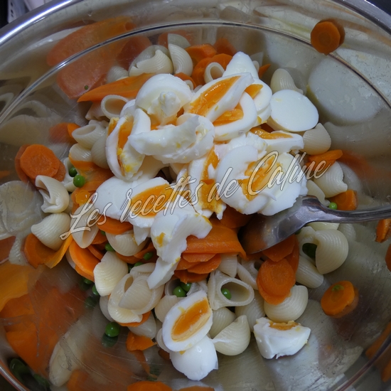 Salade de pâtes aux légumes et oeufs07