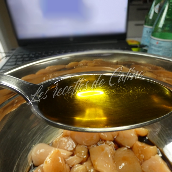 Brochettes de poulet mariné à l’abricot05