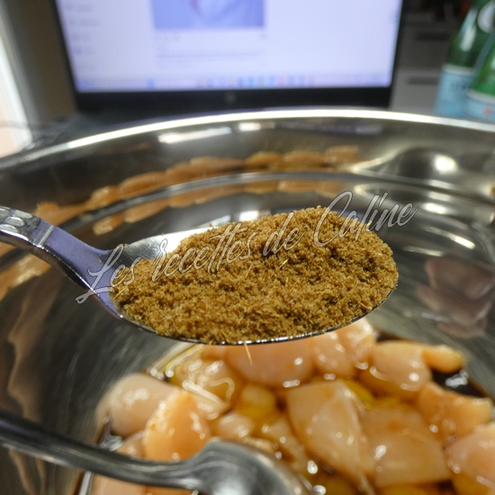 Brochettes de poulet mariné à l’abricot06