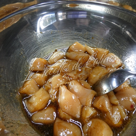 Brochettes de poulet mariné à l’abricot07