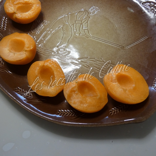 Brochettes de poulet mariné à l’abricot08