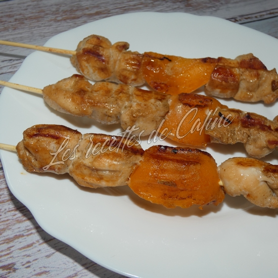 Brochettes de poulet mariné à l’abricot13