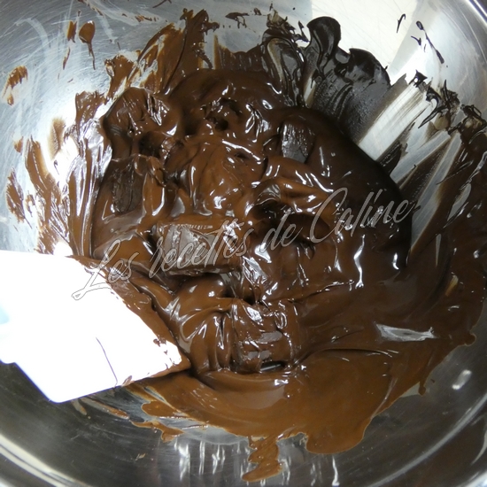 cremeux au chocolat04