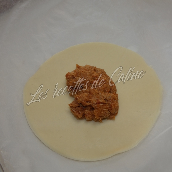 Empanadas au thon13