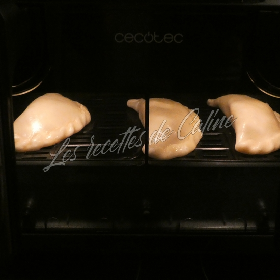 Empanadas au thon18