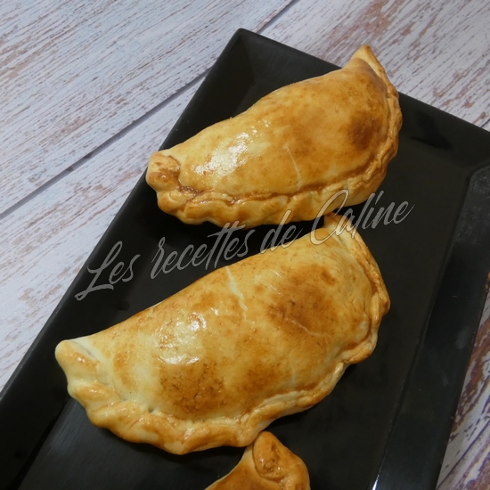 Empanadas au thon22