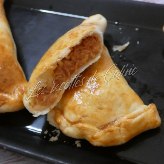 Empanadas au thon23