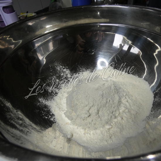 Gyozas aux crevettes01