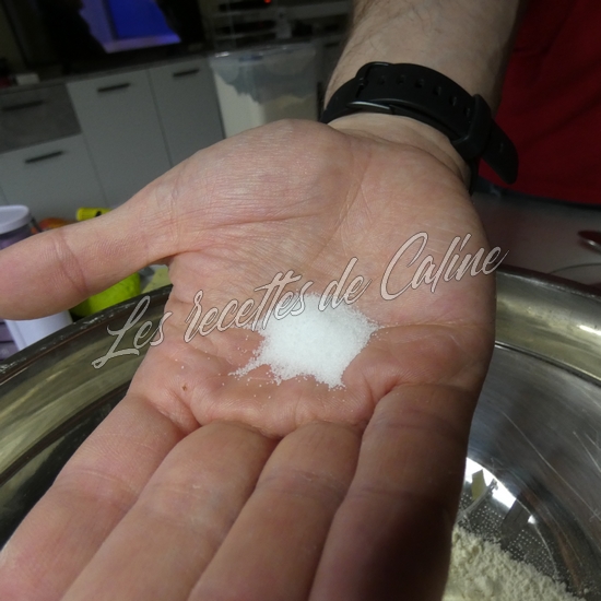 Gyozas aux crevettes02