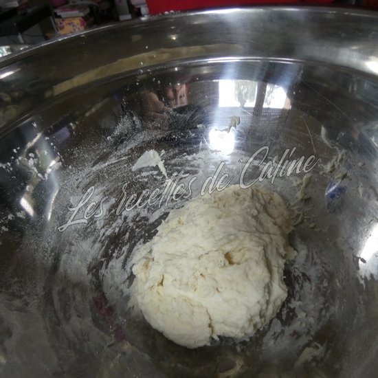 Gyozas aux crevettes03