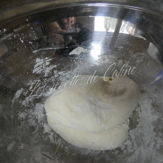 Gyozas aux crevettes04