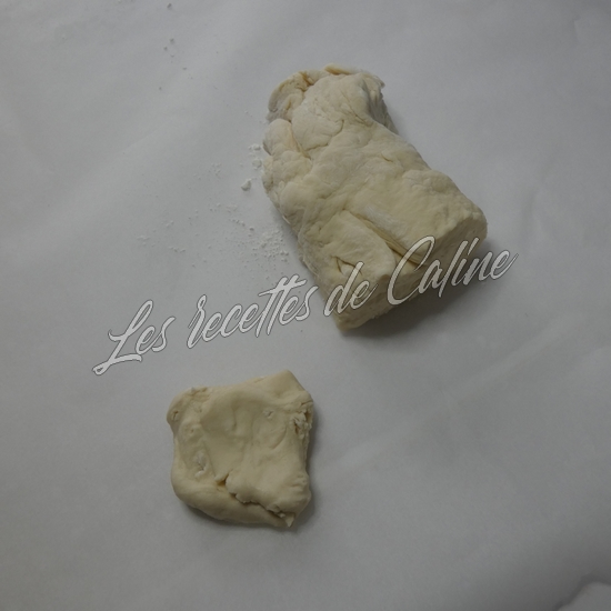 Gyozas aux crevettes20