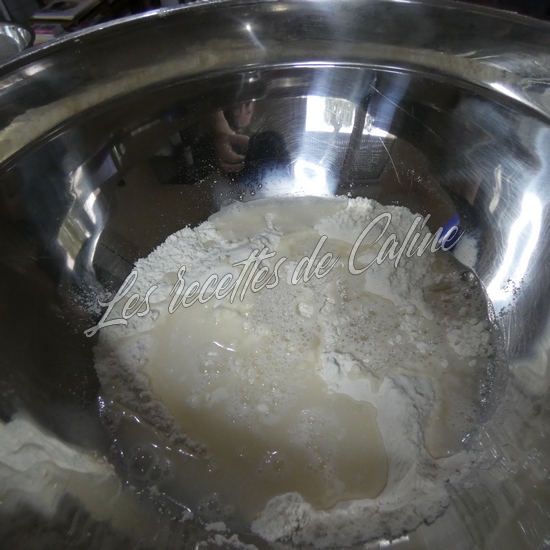 Gyozas aux crevettes22