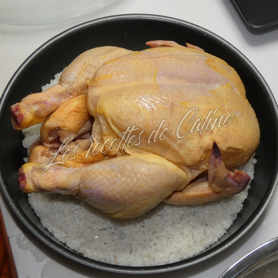 Poulet en croute de sel09