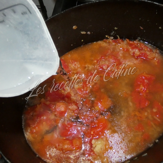 Risotto de macaroni à la corsaire10