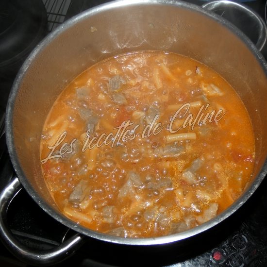 Risotto de macaroni à la corsaire17