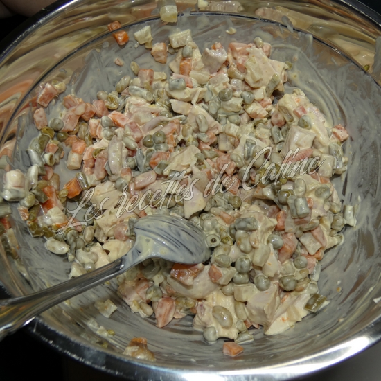 Macedoine au poulet04