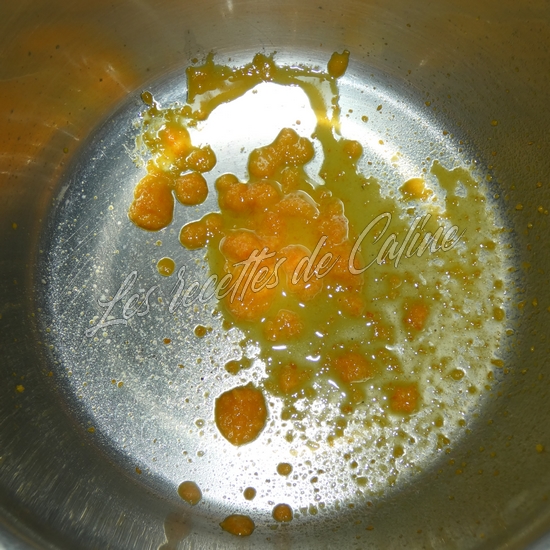 Brochettes de dinde (poulet) laquée à l’orange03