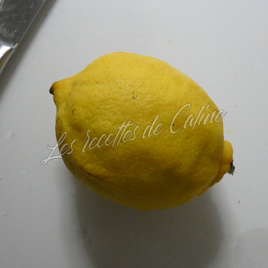 Brochettes de dinde (poulet) laquée à l’orange04