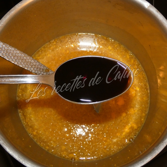 Brochettes de dinde (poulet) laquée à l’orange10