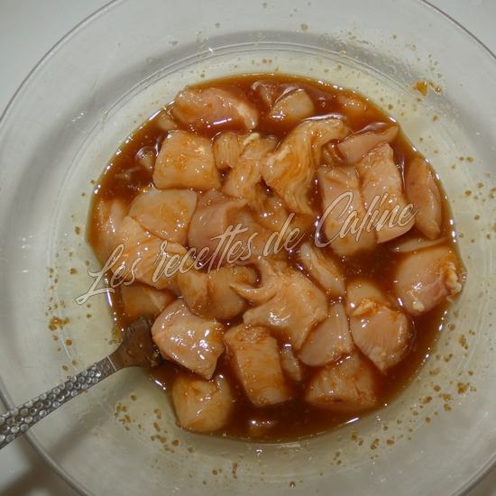 Brochettes de dinde (poulet) laquée à l’orange12