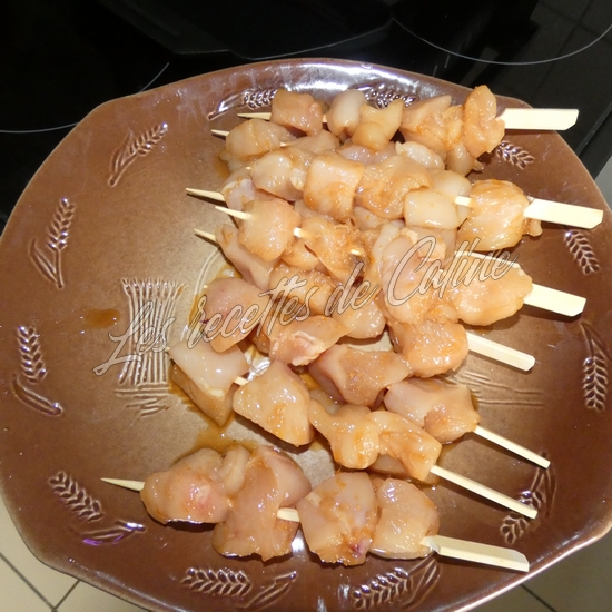 Brochettes de dinde (poulet) laquée à l’orange13