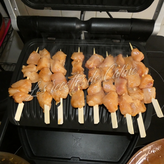 Brochettes de dinde (poulet) laquée à l’orange14