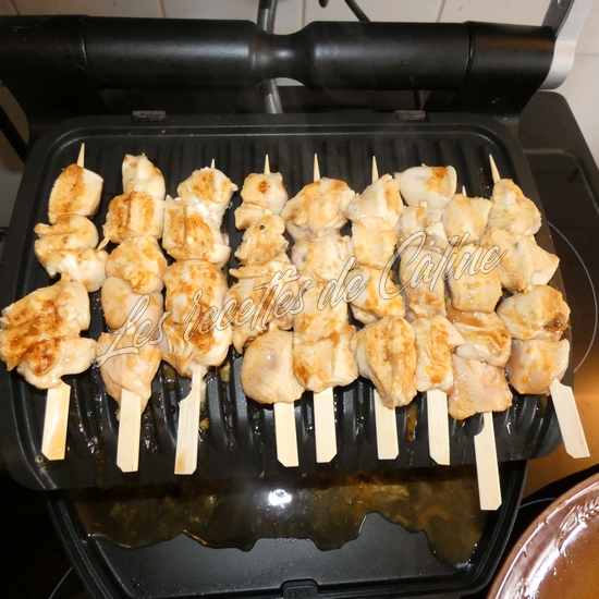 Brochettes de dinde (poulet) laquée à l’orange15