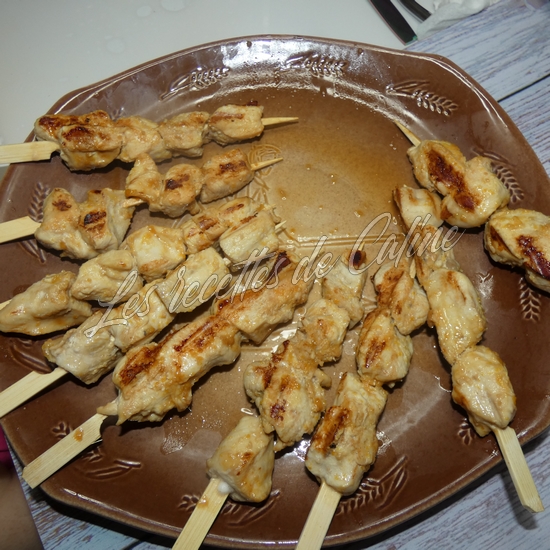 Brochettes de dinde (poulet) laquée à l’orange16