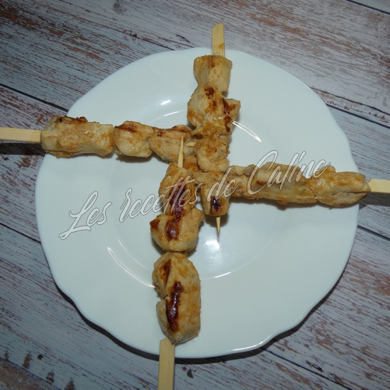Brochettes de dinde (poulet) laquée à l’orange17