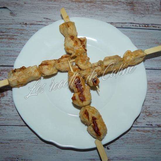 Brochettes de dinde (poulet) laquée à l’orange18
