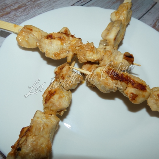 Brochettes de dinde (poulet) laquée à l’orange19
