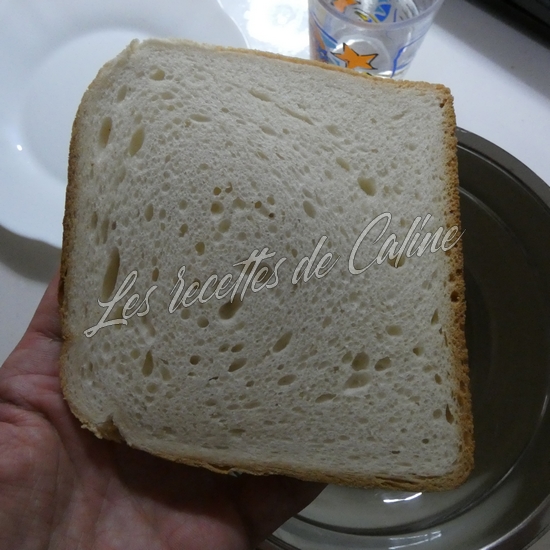 Flan à la sardine à la tomate02