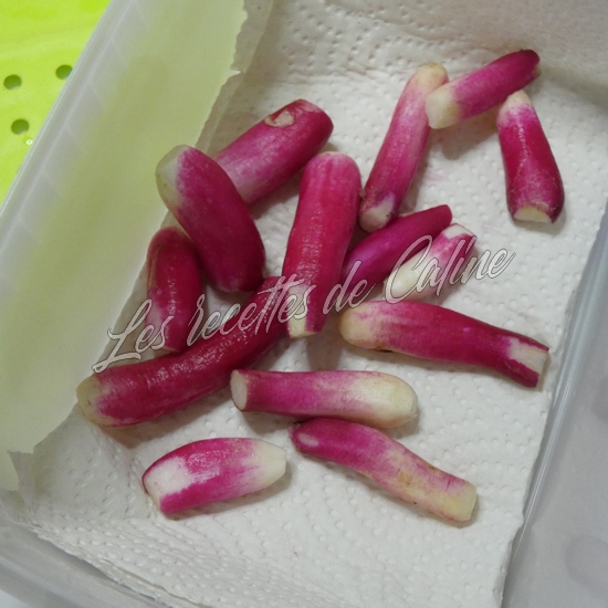 Salade de betteraves aux lentilles, radis et œufs durs02