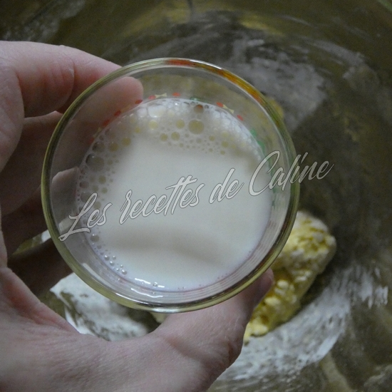 Cake salé au camembert et pommes05