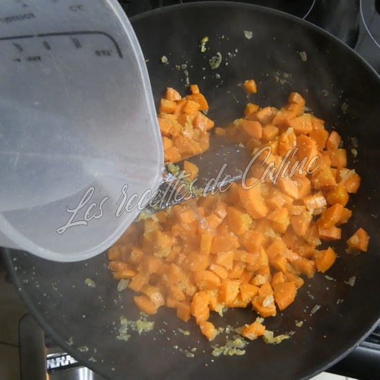 Curry de carottes et son riz09