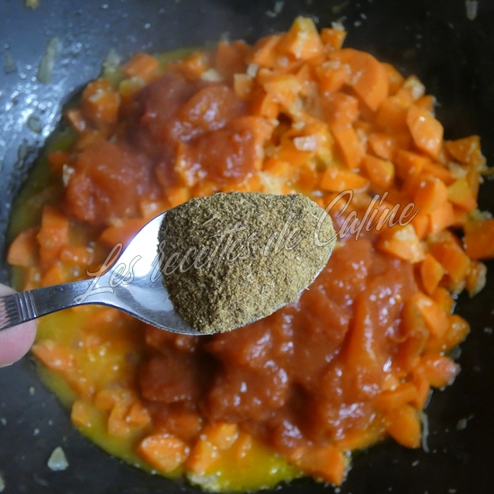 Curry de carottes et son riz12