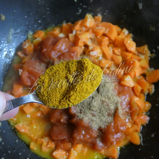 Curry de carottes et son riz13