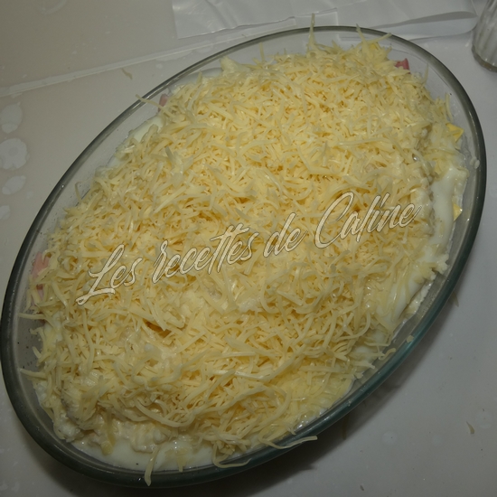 Lasagne au chou fleur et jambon17